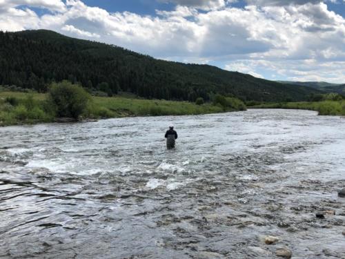 Trout fishing in the middle of the White River. Meeker, CO.